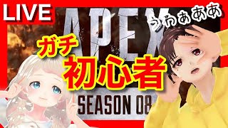 🔴【APEX】初見さん歓迎！！Vtuberと目指せちゃんぽん！！【だいちｘめろあ放送部】Beginners play APEX in Japan.