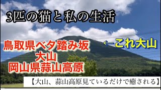 【大山、蒜山高原、夏休みオススメ。空気が綺麗で、広々とした空間最高】