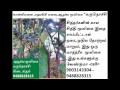 kollimalai hills கொல்லிமலை அதிசய மூலிகை கருநொச்சி 2015