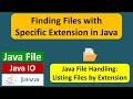 Finding Files with Specific Extension in Java | Java IO Basics | Java File | Java IO