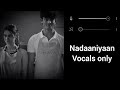 Nadaaniyan - Akshath (Vocals only)