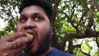 Odiya Blogger II Rourkela famous Ghupchup II Panipuri II Afternoon Snacks II Love For Rourkela