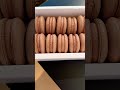 Nutella Macarons