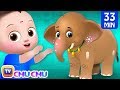 ஆனை ஆனை அழகர் ஆனை (Aanai aanai alagar aanai) COLLECTION - ChuChu TV Tamil Rhymes and Kids Songs