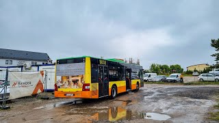 TP Bus Tarnowo Pdg. - MAN NL283 Lion's City #8035 | linia 811