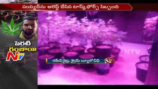 Cannabis Cultivation in Apartments || Hyderabad || NTV