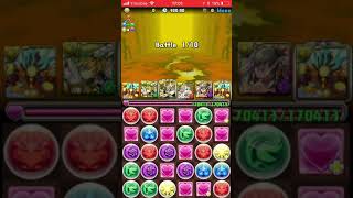 パズドラ  リクウ杯  ヨグ  115800点