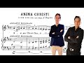 ANIMA CHRISTI - Ettore Pozzoli | Tony Lee | Swell Vox