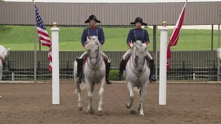 Weekend Break: The Tempel Lipizzans