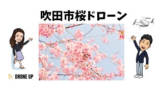 吹田市桜ドローン