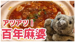 アツアツ 辛うま！百年麻婆でランチ♪