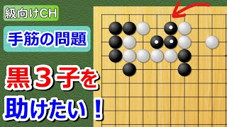 【囲碁問題】級向け・手筋の問題（連絡するには？）