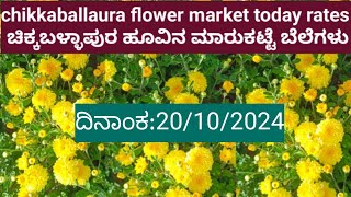 chikkaballapura flower market today rates/20/10/2024