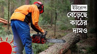 যে কারণে ইউরোপে কমছেই না কাঠের চাহিদা | Europe Wood Fuel Industry | DW