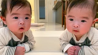 IDENTICAL TWINS : 4 MONTH OLD  UPDATE