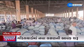 Rajkot: ગોંડલયાર્ડમાં નવા લસણની આવક શરૂ, હરાજીમાં 20 કિલો નવા લસણના 3,511 રૂપિયા ભાવ બોલાયા