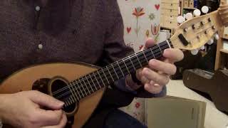 Saranta Palikaria - Greek Folk Song - Mandolin