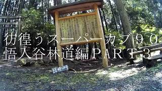 彷徨うスーパーカブ９０悟入谷林道編PART3【APEMAN A66】