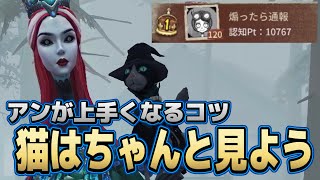 【アン1位】これがガイドの使い方！帰ってくる猫をよく見よう！！【第五人格】【IdentityV】