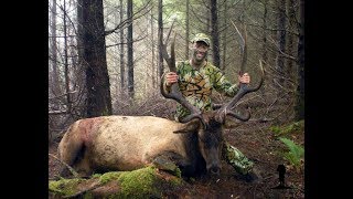 KILLING 7 ROOSEVELT BULLS AND A BLACKTAIL DEER IN ONE SEASON