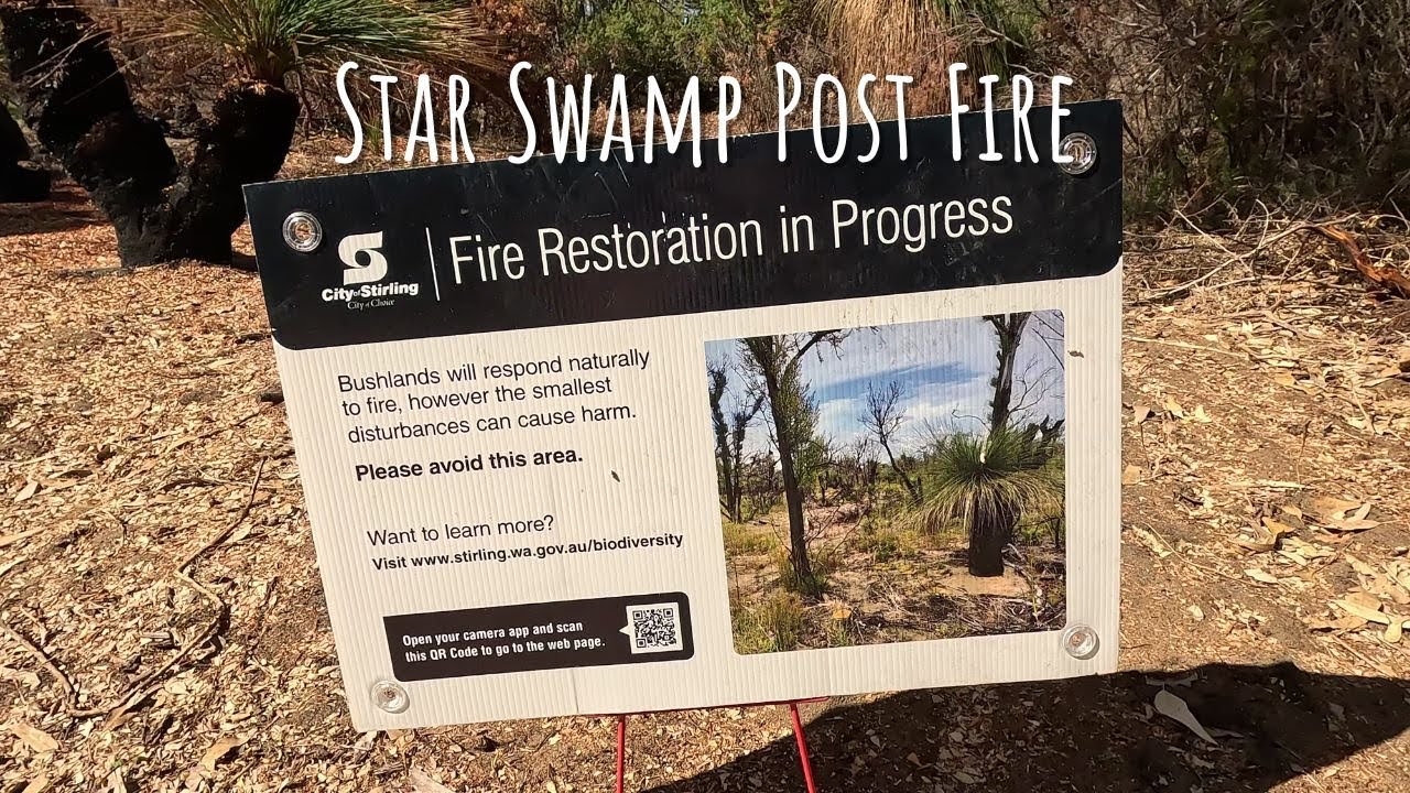 Star Swamp Reserve Post Bushfire - YouTube