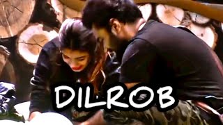 THE LOST COMBO💔DILROB #dr.robin#dilsha#asianet