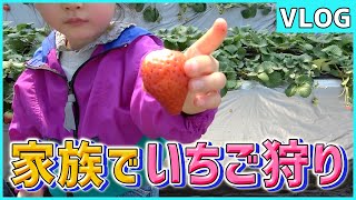 【思い出vlog】甘くて大きい！いちご狩り\u0026爆食いで大満足♪