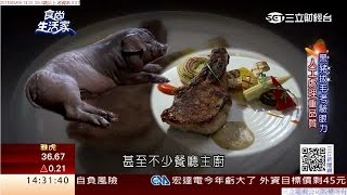 食尚生活家：黑豬喝啤酒長大 油花豐富.肉多汁 | 食尚生活家 | 三立財經台CH88