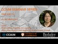 CCAIM Seminar Series – Prof Bin Yu - UC Berkeley