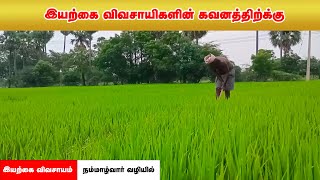 விவசாயிகளின் கவனத்திற்கு  | இயற்கை விவசாயம் | நம்மாழ்வார்