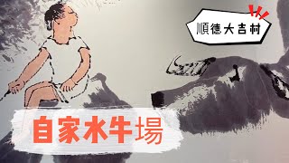 自家水牛場 🐮🐮🐮 20230427 大灣區{順德}必食推介