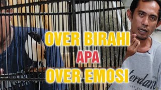 penyebab cendet emosi dan birahi