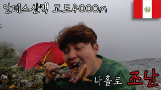 안데스산맥 에서 조난 되었지만 생존했습니다