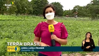 Agricultura | Programa Terra Brasil