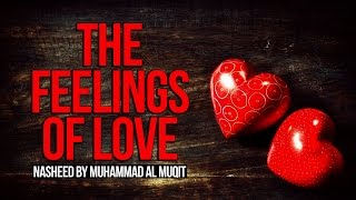 The Feelings of Love - Muhammad al-Muqit
