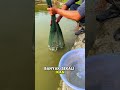 Pria ini dapat ikan banyak dari perangkap yang di buat!