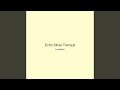 Echo Silver Tranquil