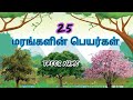 மரங்கள் | 25 மரங்களின் பெயர்கள் | Trees | Trees Name | 25 Trees Name in Tamil |