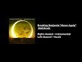 Breaking Benjamin - Never Again Multitrack
