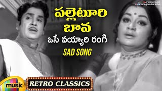 Osey Vayyari Rangi Sad Song Full Video | Evergreen Telugu Hit Songs | Palletoori Bava Movie | ANR