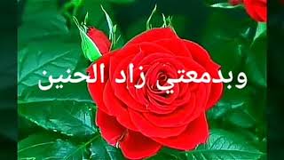 Maher Zain feat Mustafa Ceceli - Bika Moulhimi (Arab Lirik)