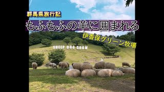 【そうだ、群馬に行こう】伊香保グリーン牧場の旅・シープドッグショー【都会に疲れた夫婦旅】