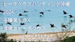 ビーチグラスのある風景　沖縄2024　海鵜とビーチグラス