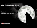 The Call of the Wild by Jack London - Chapter 5: The Toil of Trace and Tail