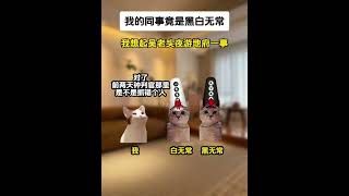 《非凡打工》第23～24集#猫meme #猫meme小剧场