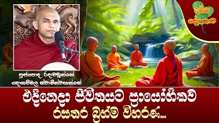 Ven Radawadunne Gnanawimala Thero | 2024-06-15 | 12:30 PM (ජීවිතයට ප්‍රායෝගිකව සතර බ්‍රහ්ම විහරණ...)