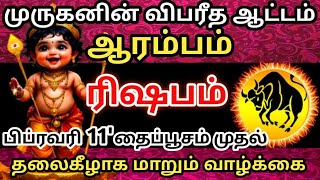 🔴ஆரம்பம் முருகனின் விபரீத ஆட்டம்🔥 பிப்ரவரி 11 முதல்😱 மாறும் வாழ்க்கை#ராசிபலன்#ரிஷபம்