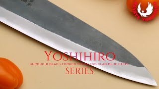 Yoshihiro Kurouchi Black-Forged Stainless Clad Blue Steel Knife Series