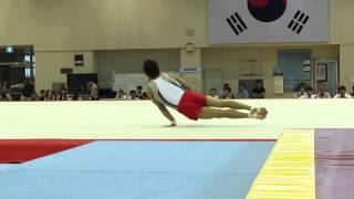 2013한국체조 선발 Korean Trials Kim Soo Myun Day 2 FX