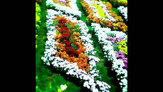 Kannur Flower show